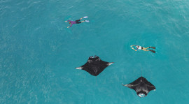 Остров Miriandhoo, The Westin Maldives Miriandhoo Resort